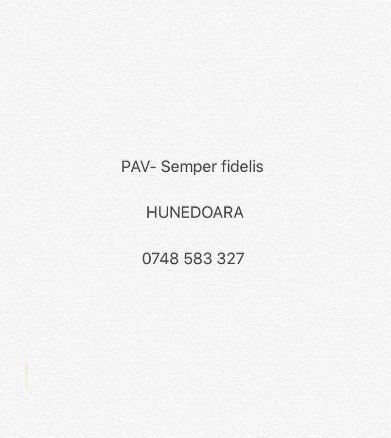 Apartament Pav- Semper Fidelis Hunedoara Zewnętrze zdjęcie